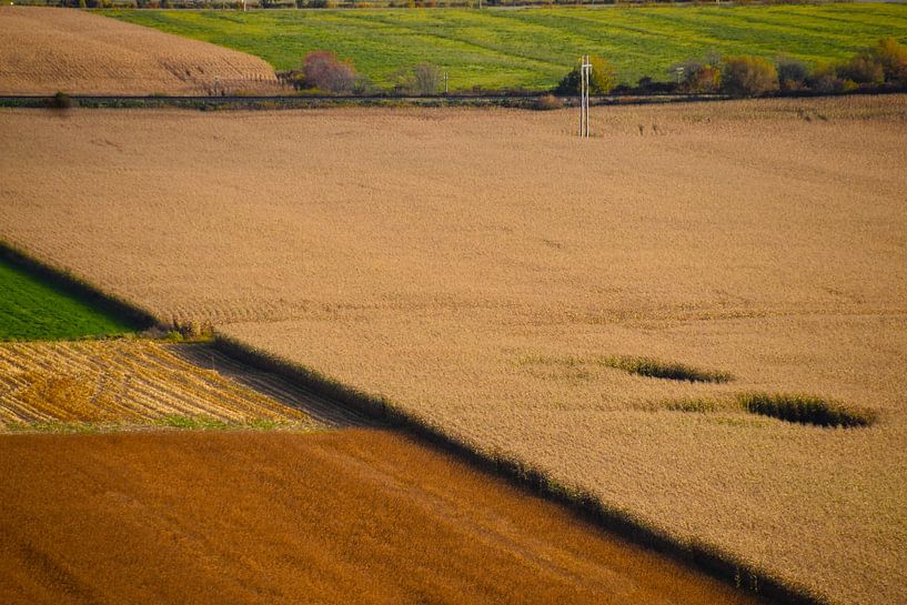 Felder im Herbst von Claude Laprise