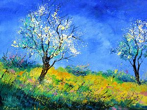 Spring 8624