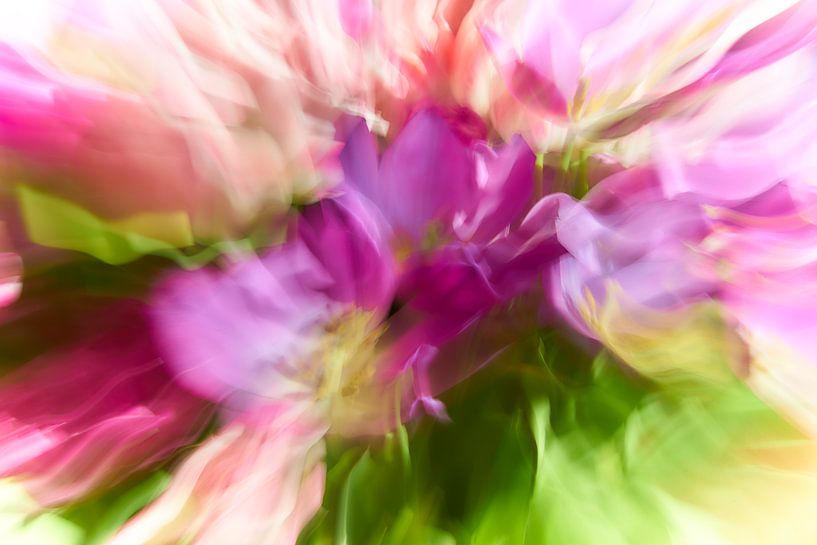 Tulipes des forêts par Johan Kalthof