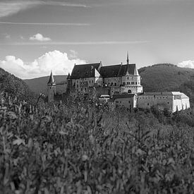 Kasteel Bourscheid van Colin Bok