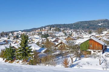Winter in Bodenmais,Bayerischer Wald von Peter Eckert