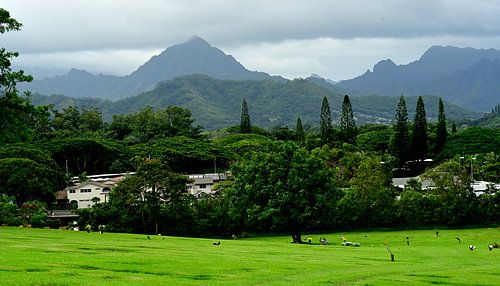 Cemetery on Ohahu