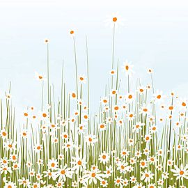 Blumenfeld von Color Square