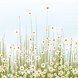 Flower field by Color Square