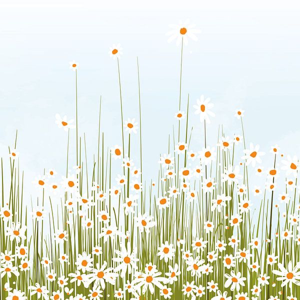 Blumenfeld von Color Square