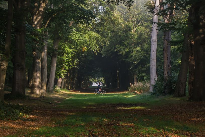 Faire du vélo au petit matin. par Stephan Scheffer