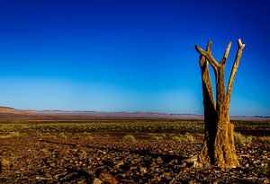 langs de weg in namibië van Ed Dorrestein