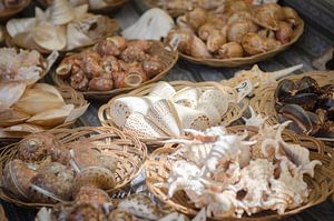 Muscheln zu verkaufen