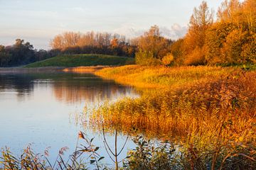 Herfstkleuren aan het meer van recreatiegebied Geestmerambacht van Bram Lubbers