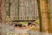 Brücke