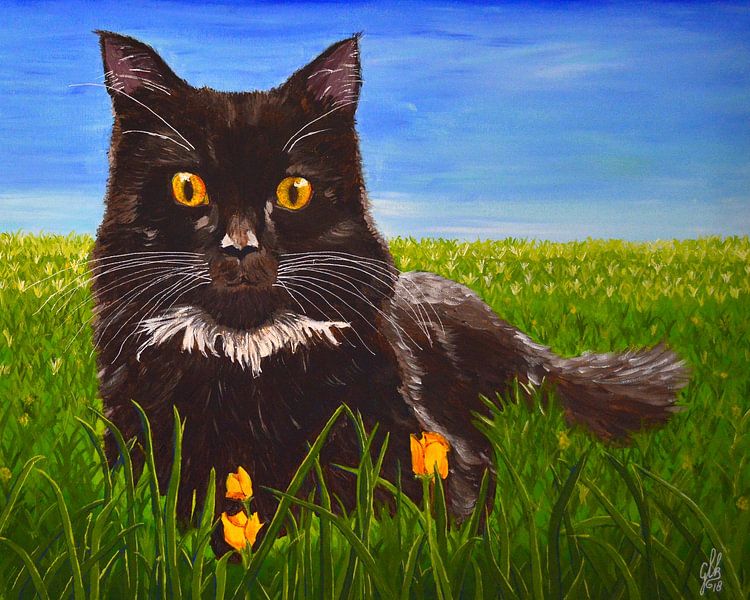 Maine Coon im Gras von Greta Lipman