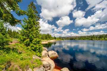 Uitzicht op de Oderteich vijver in het Harz gebergte in Duitsland van Andreas Völkel