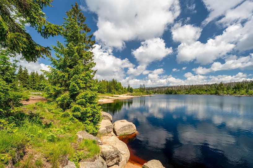 Uitzicht op de Oderteich vijver in het Harz gebergte in Duitsland van Andreas Völkel