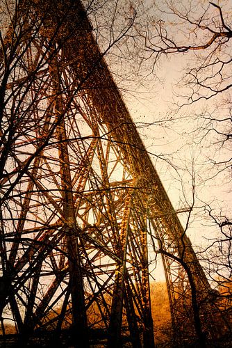 Müngsten Bridge in the autumn morning light