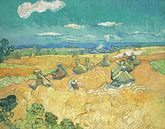 Weizenfeld mit Bauern in Auvers – Vincent van Gogh von 1000 Schilderijen Miniaturansicht