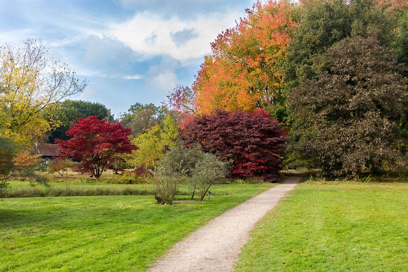 Herfst wandelpad von Katjang Multimedia