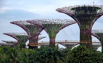 Singapur Gärten. von Floyd Angenent