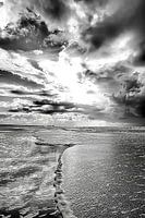 Let the Foam show U Zandvoort (Black and White)