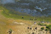 Olifanten bij de rivier