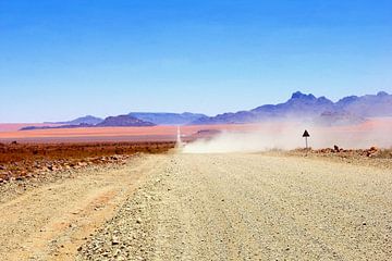 Offroad Namibië van Inge Hogenbijl