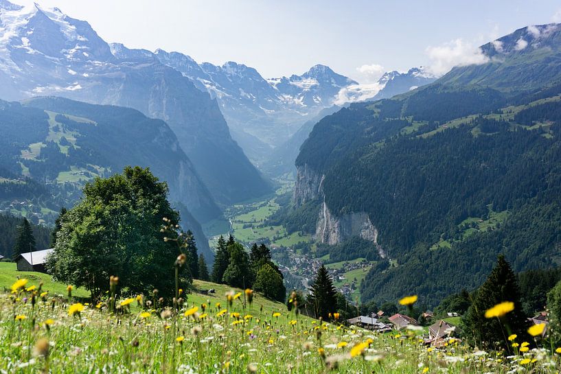 Blick auf Lauterbrunnen, Schweiz von Rianne van Baarsen