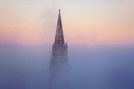 Cathédrale de Fribourg sur Patrick Lohmüller