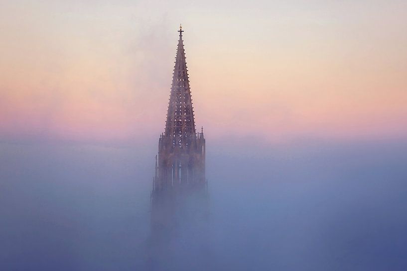 Freiburg Minster by Patrick Lohmüller