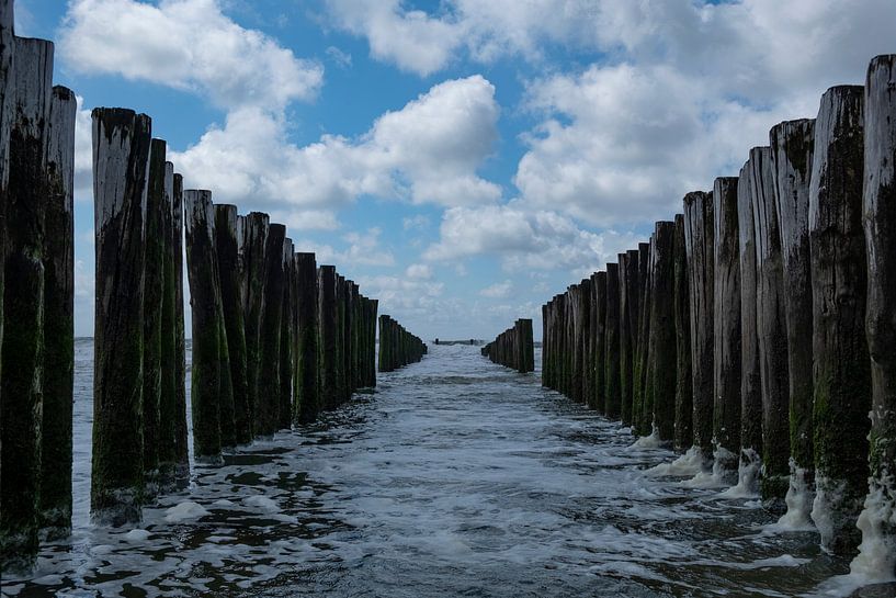 hollande sky over sea by Nienke Stegeman
