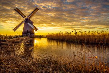 Molen bij Schermerhorn von Jan Siebring