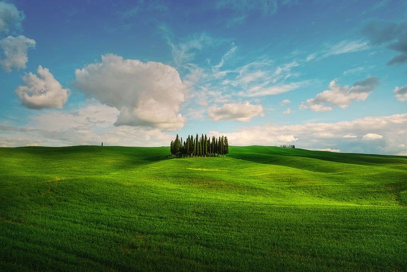 De beroemde cipressen van San Quirico d'Orcia. Toscane van Stefano Orazzini
