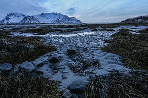 Blaue Stunde von Julia Schellig