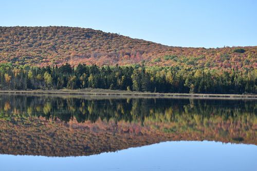 Spiegelung auf dem See im Herbst