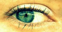 The Eye