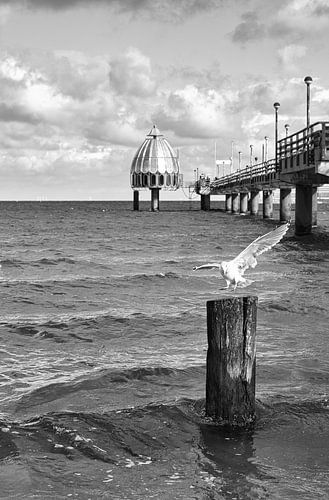 The pier of Zingst, which reaches into the sea and has a diving gondola at the end. In black and whi