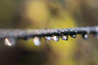 Droplets