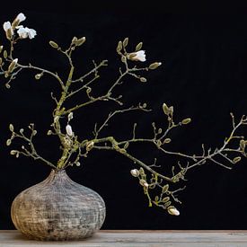 magnolia en vase sur Klaartje Majoor