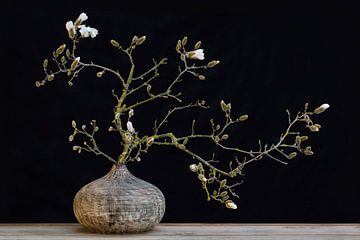Magnolia  in vaas van Klaartje Majoor