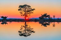 Un magnifique coucher de soleil à Dwingelderveld