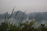 View on Ha Long Bay - Vietnam van Daniel Chambers thumbnail