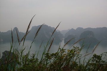 View on Ha Long Bay - Vietnam van Daniel Chambers