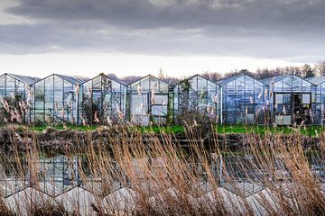 Heemstede Leidsevaart greenhouses by martin slagveld