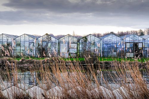 Heemstede Leidsevaart kassen
