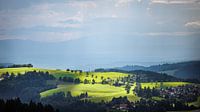 Black Forest view
