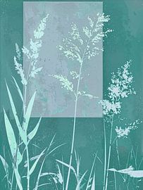 Modern Botanical illustration - Grasses -5 by Studio Pieternel