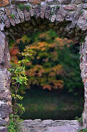 Die Natur kehrt zurück