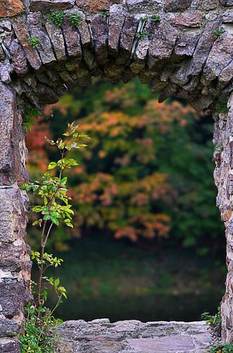Die Natur kehrt zurück