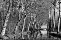 Wandelaar loopt over een brug 