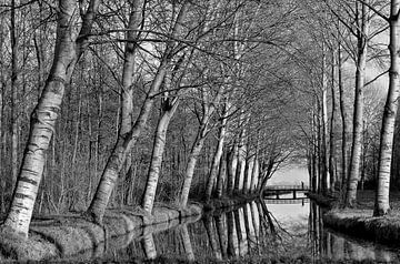 Walker on a bridge by Leo Huijzer