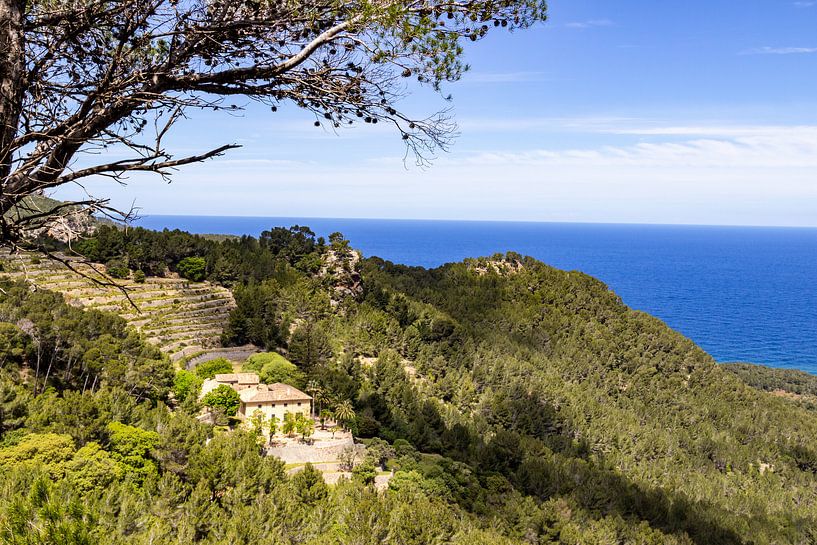 Scenic view at the coastline in the north of  Mallorca between Valldemossa and Bayalbufar von Reiner Conrad
