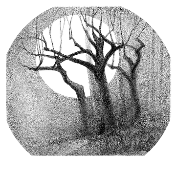 Winterse bomen in het maanlicht - zwarte stift op papier - Pieter Ringoot van Galerie Ringoot